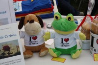 /album/souvenir/a8-jpg/